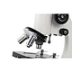 Best Microscopes for Elementary Students